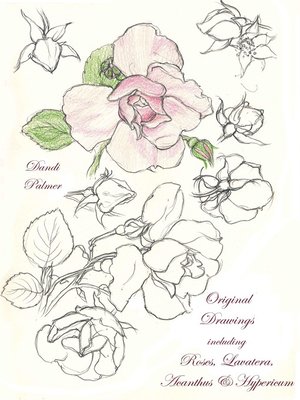 cover image of Original Drawings Including Roses, Lavatera, Acanthus and Hypericum